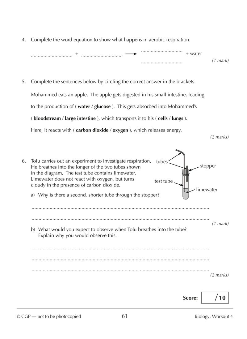 New KS3 Year 9 Science 10-Minute Weekly Workouts (includes answers)