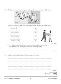 New KS3 Year 9 Science 10-Minute Weekly Workouts (includes answers) - pzsku/Z63FE717DE8BBB1FA2C44Z/45/_/1732721086/847897f0-98fc-469a-b9e0-2942a3065d8c