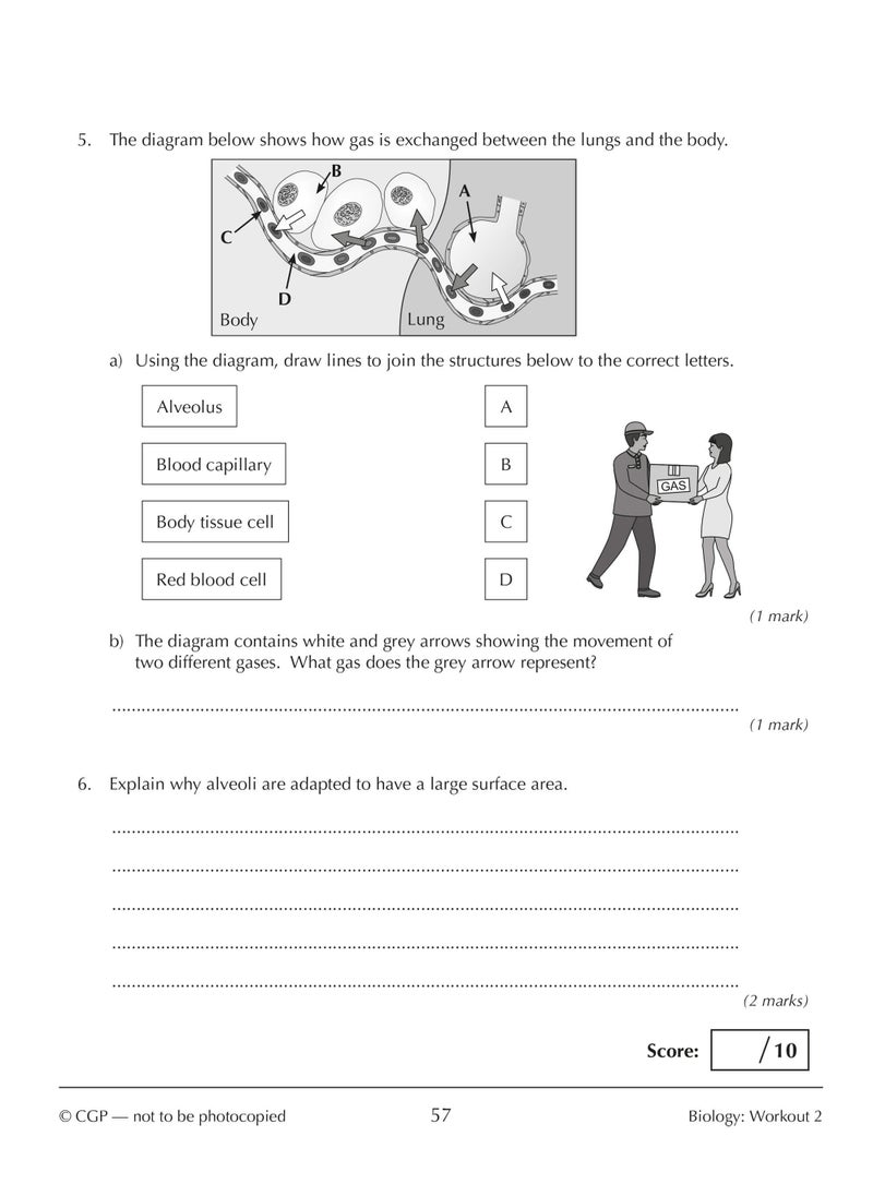 New KS3 Year 9 Science 10-Minute Weekly Workouts (includes answers)