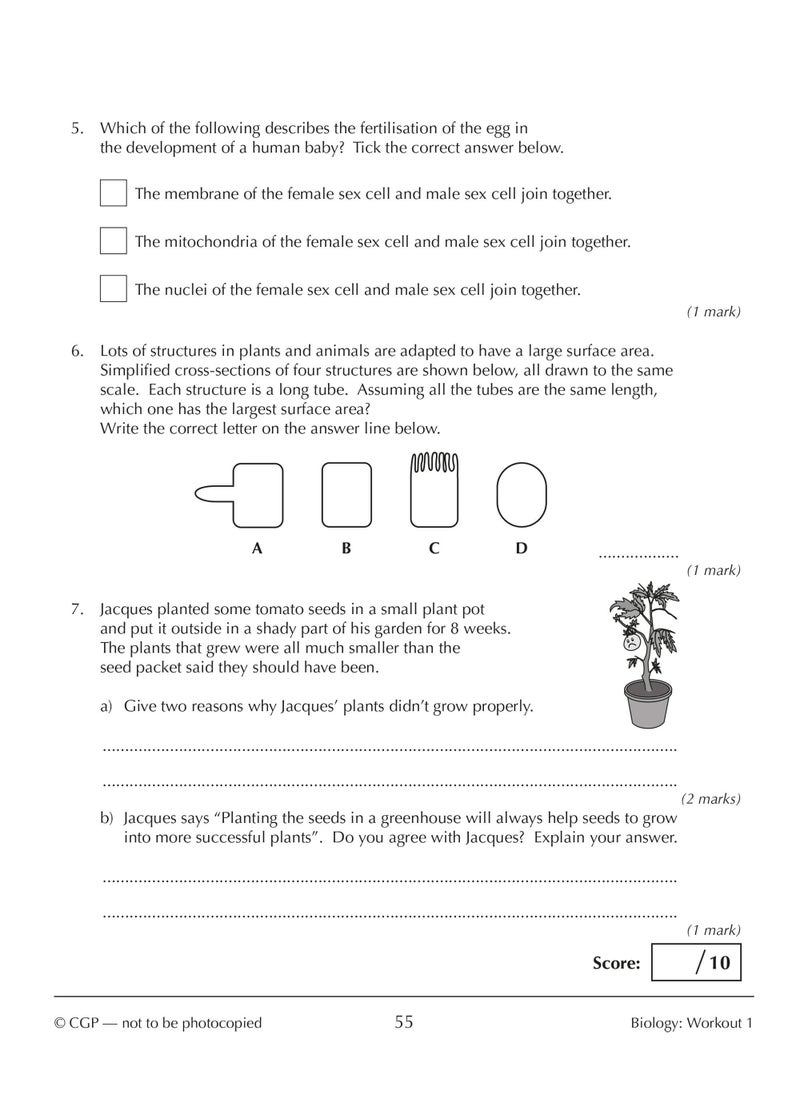 New KS3 Year 9 Science 10-Minute Weekly Workouts (includes answers)