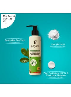 PILGRIM Australian Tea Tree Non-Drying Anti-Dandruff Shampoo 200 Ml | Removes Dandruff From Source | Helps With Itching, Irritation | Strong & Smooth Hair | For Men & Women |  - Image 2