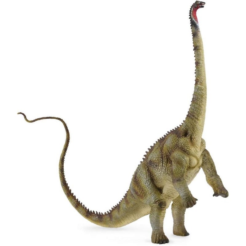 Collecta - Diplodocus Dinosaur - 88622