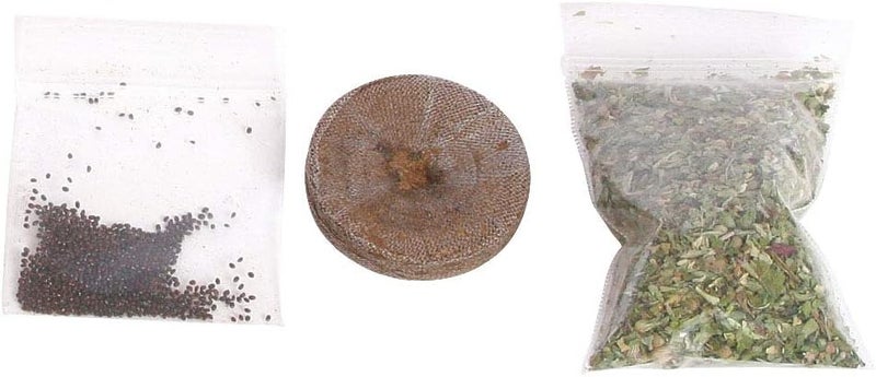 From The Field Grow Your Own Catnip Plant Kit - Complete Gardening Set for Cat Lovers - Image 3