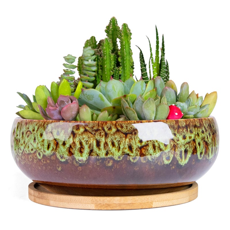 ARTKETTY Succulent Pots - 7.5 Inch Large Plant Pot with Bamboo Tray, Shallow Bonsai Pots with Drainage, Ceramic Planter for Indoor Plants, Cactus, Home Office Desk Decor - Image 1