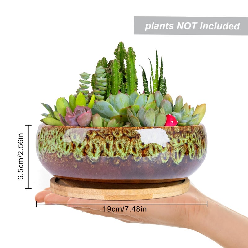 ARTKETTY Succulent Pots - 7.5 Inch Large Plant Pot with Bamboo Tray, Shallow Bonsai Pots with Drainage, Ceramic Planter for Indoor Plants, Cactus, Home Office Desk Decor - Image 2