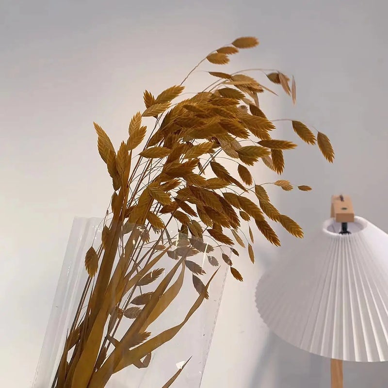 Bluejw Little Hope Grass Eternal Preserved Dried Flower Bouquet – Long-Lasting 3-5 Years, Post-Modern Home Decor Ornament with Natural Dried Plants - Image 1