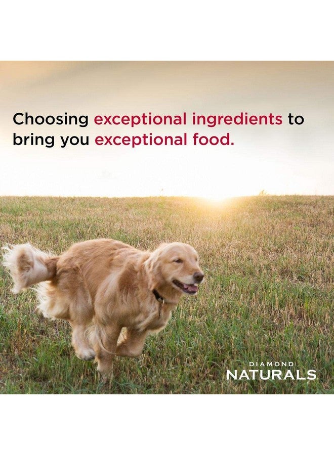 Diamond Naturals Adult Real Meat Recipe Premium Dry Dog Food With Real Pasture Raised Lamb Protein 6Lb - Image 4