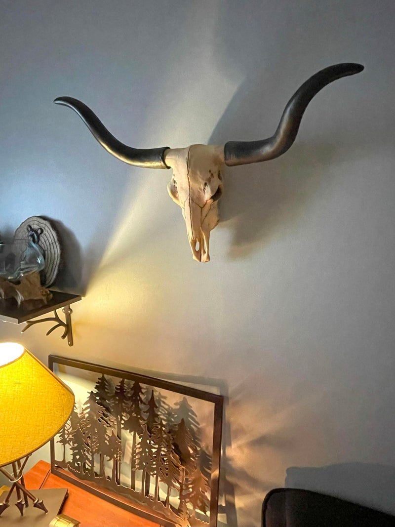 Things2Die4 Long Horn Cow Skull Wall Hanging Longhorn Steer - Image 5