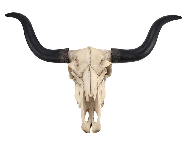 Things2Die4 Long Horn Cow Skull Wall Hanging Longhorn Steer - Image 1