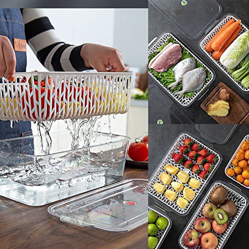 INKULTURE Stackable Vegetable And Fruit Fridge Storage Container With Removable Drain Strainers | Capacity 3L | Pack of 01 (Acrylic) - Image 3