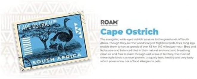 ROAM PET TREATS Ossy Chews Dog Treats, Single Sourced Novel Proteins Long Lasting Chews Made from Ostrich for Dogs - Image 3