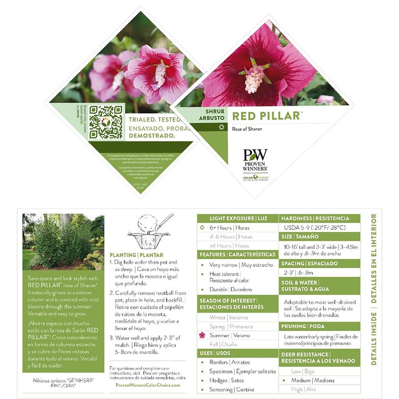 Proven Winners 2 Gal. Red Pillar Rose of Sharon (Hibiscus) Shrub - Image 2