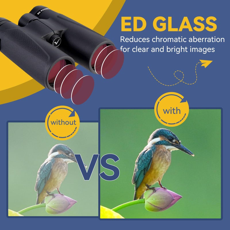 SVBONY Svbony SV202 Ed Binoculars 10x42, Glass Ed Bak4 Prism Coating Dielectric and Phase Magnesium Alloy Body Waterproof Binoculars for Bird Watching - Image 2