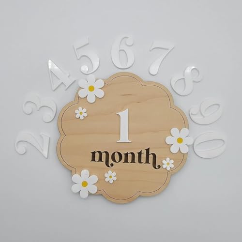Haoser Wooden Baby Milestone Cards With Daisy Accents,2 Disc. (Month & Months-12 Numbers) Milestone Props For Babies Photo|Baby Photoshoot Accessories|Baby Photo Props |,1 Count - Image 1