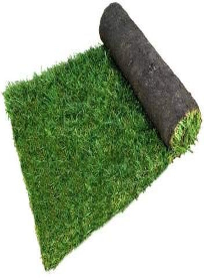 CARPET PLANET Artificial Grass Yoga mat Size-6.5x2ft for Meditation -Green - Image 2