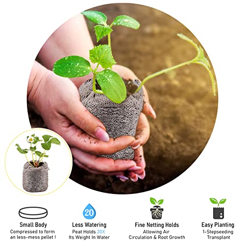 Legigo ليجيغو 100 قطعة 30 مم أقراص بدء البذور من الخث للشتلات - أقراص بدء البذور المضغوطة، أقراص الخث لبدء البذور، زراعة النباتات، الأعشاب، الزهور، الخضروات - Image 3