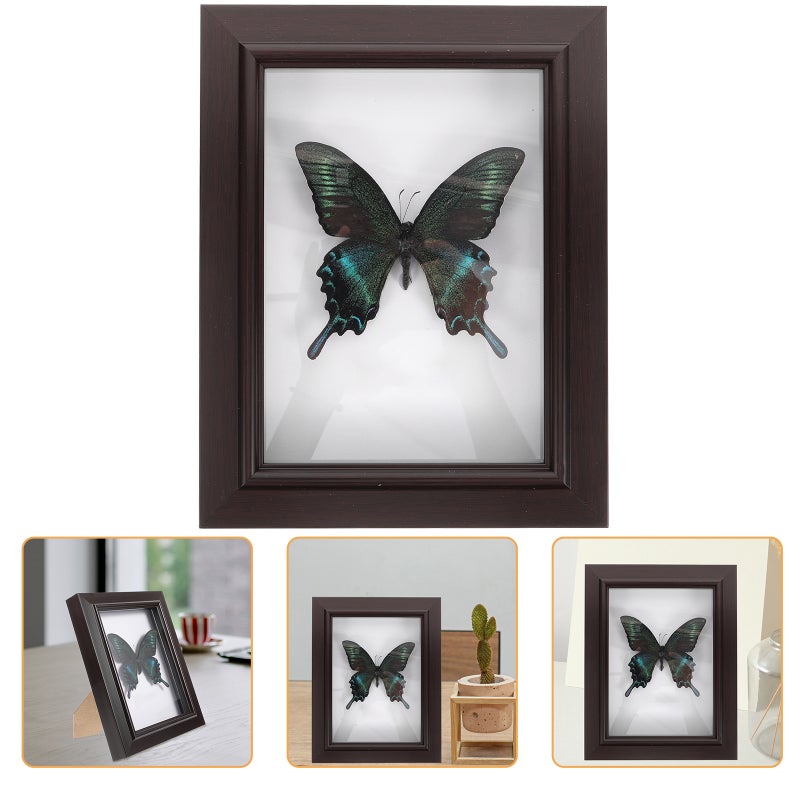 Specimen Display Case Wood Specimen Box With Butterfly Specimen Wall Decor Wall Art - Image 3