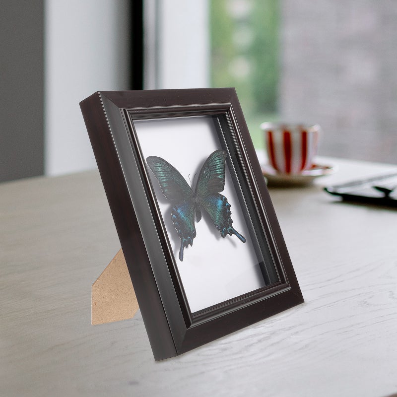 Specimen Display Case Wood Specimen Box With Butterfly Specimen Wall Decor Wall Art - Image 4