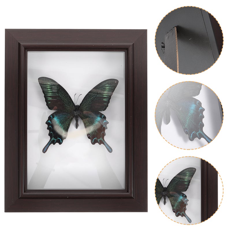 Specimen Display Case Wood Specimen Box With Butterfly Specimen Wall Decor Wall Art - Image 1
