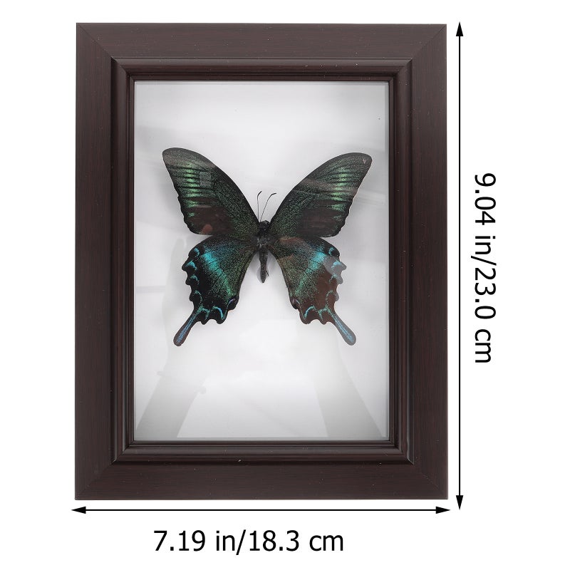 Specimen Display Case Wood Specimen Box With Butterfly Specimen Wall Decor Wall Art - Image 2