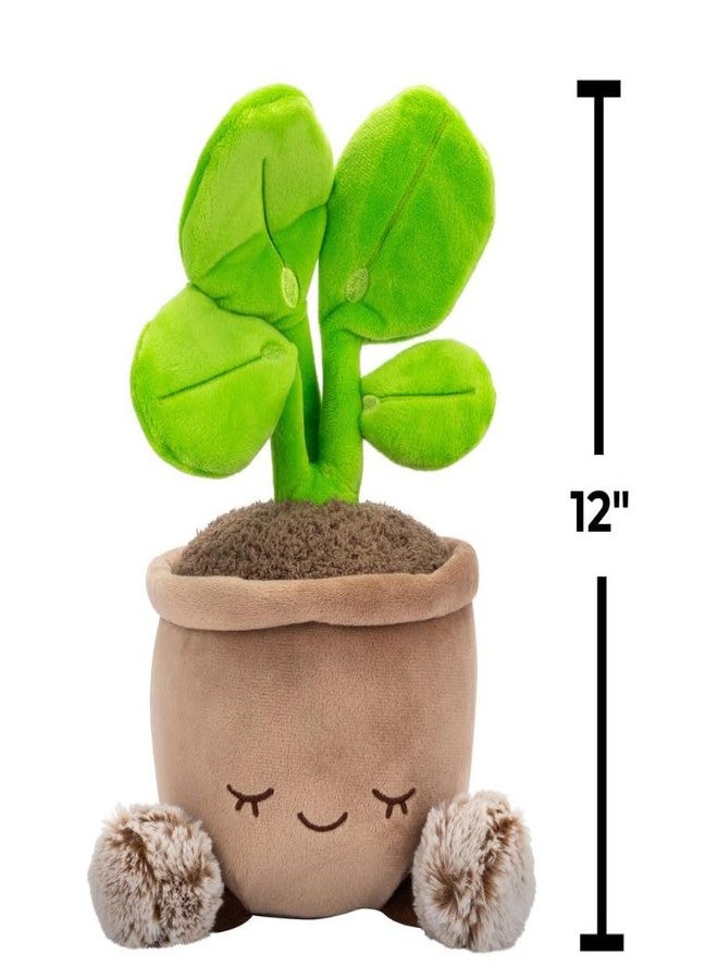 RUSS Greenhouse by Russ 12-Inch Pilea Plant Plush - Ultrasoft Official Jazwares Plush - Ages 3+ - Image 5