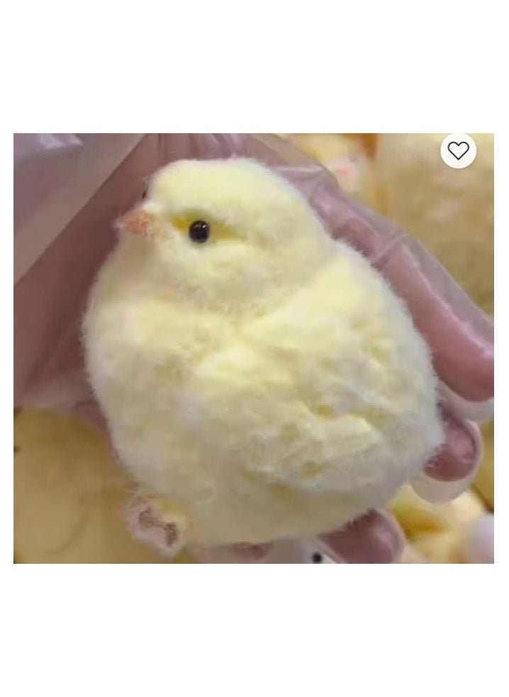 Generic - Mochi Fidget Chicken is a cute and soft toy made of a mochi-like material, perfect for relieving stress and anxiety. - Image 1