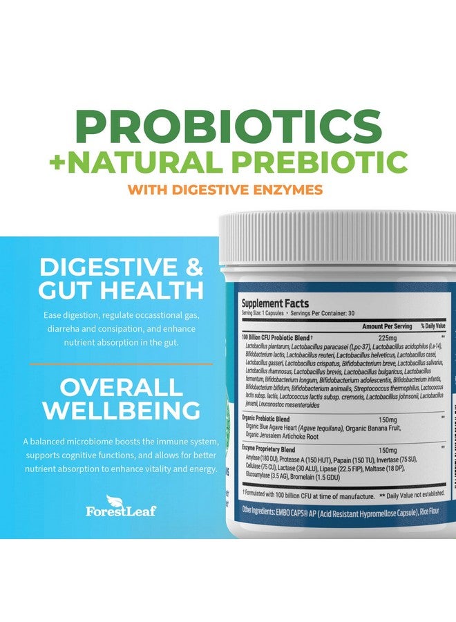 ForestLeaf بروبيوتيك للرجال والنساء، 100 مليار وحدة تشكيل مستعمرة، 26 سلالة فريدة، دعم البروبيوتيك والبريبايوتيك للرجال والنساء لصحة الجهاز الهضمي، صحة الأمعاء، الطاقة، المزاج، المناعة، توازن الرقم الهيدروجيني (30 كبسولة) - Image 4