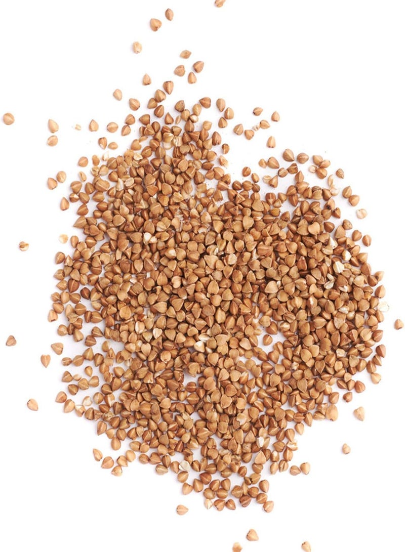 GGOOT Green Seeds, Safe and Harmless & Non-GMO,100Pcs/Bag Tibouchina Seecandra Cogn Seeds Rustic Ornamental Easy to Plant Natural Plant Flower Seeds for Garden - Tibouchina Seecandra Cogn Seeds - Image 5