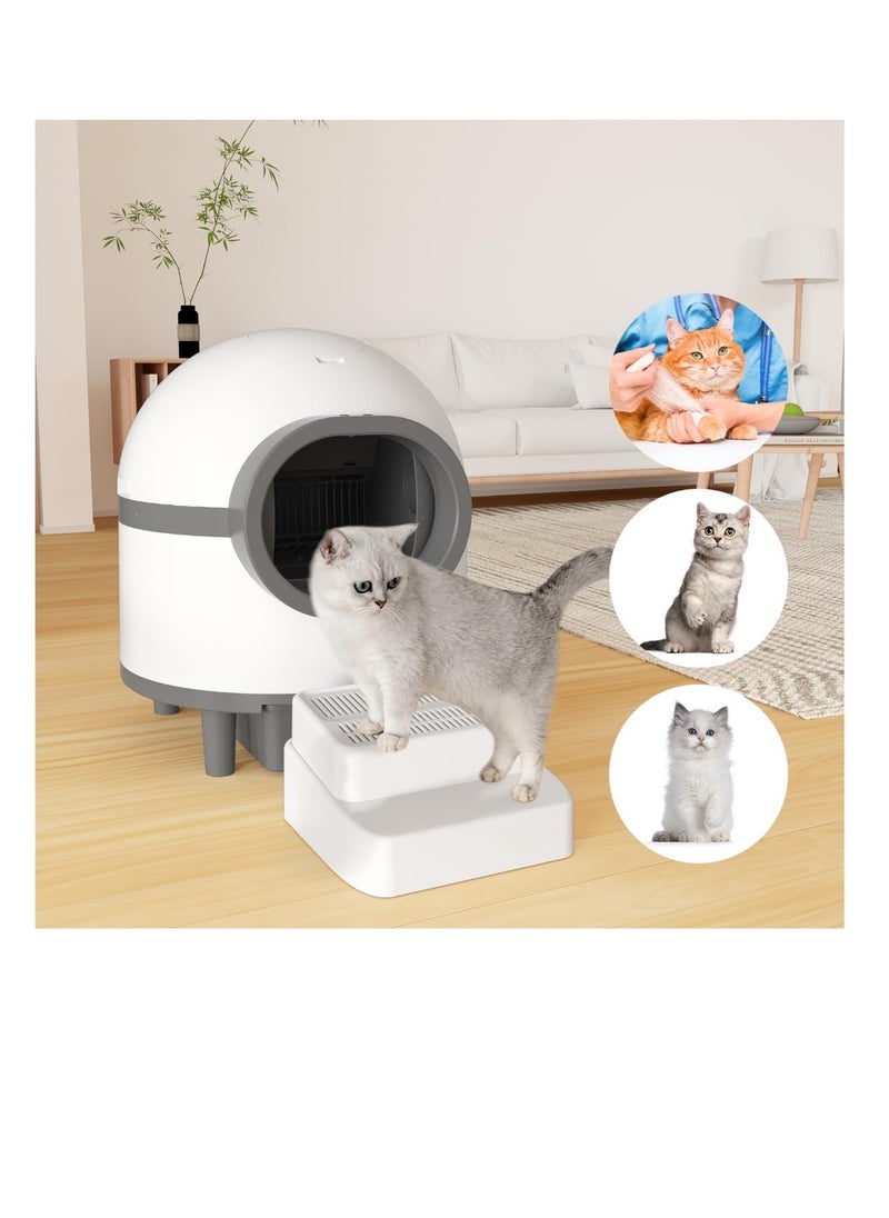 Generic - Adjustable Cat Ramp for Cat Litter Box, Easy Clean Self Cleaning Litter Box Step with Filter Function, 2 Steps Cat Litter Trapper - Image 1