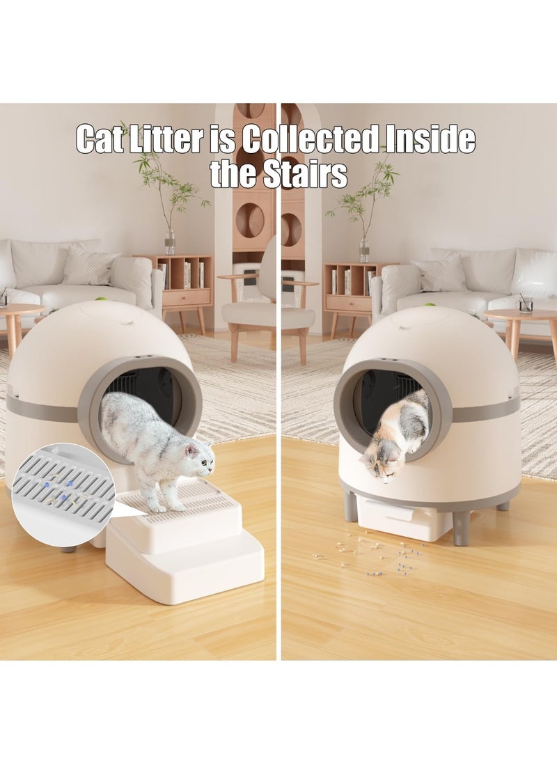 Generic - Adjustable Cat Ramp for Cat Litter Box, Easy Clean Self Cleaning Litter Box Step with Filter Function, 2 Steps Cat Litter Trapper - Image 1