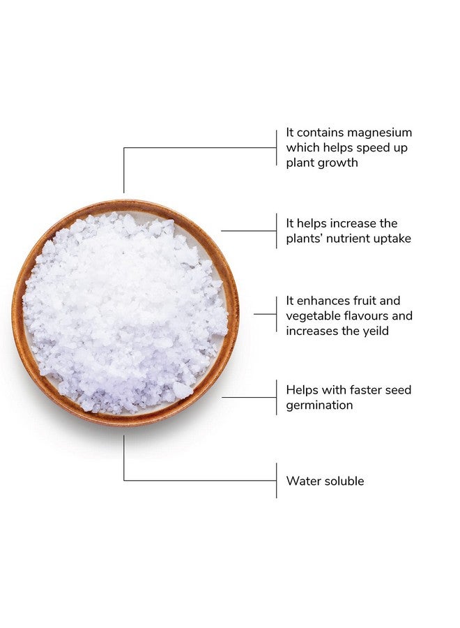 Ugaoo Epsom Salt For Plants Growth - Magnesium Sulphate Organic Fertilizer (3 Kg) - Image 2