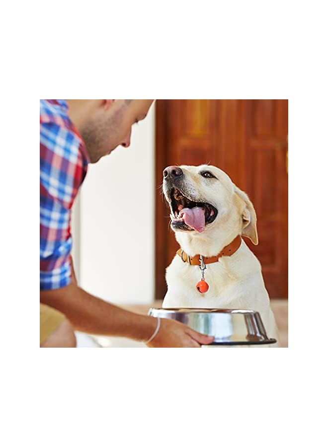 The Bros 10 Pcs Cat Dog Collar Bells, Jingle Bell for Cat Collar, Dog Collar Charms, Colourful Pet Small Bells with Clasps, Pet Assorted Colors Collar Bells, Festival Party DIY Bell Crafts Decoration - Image 5