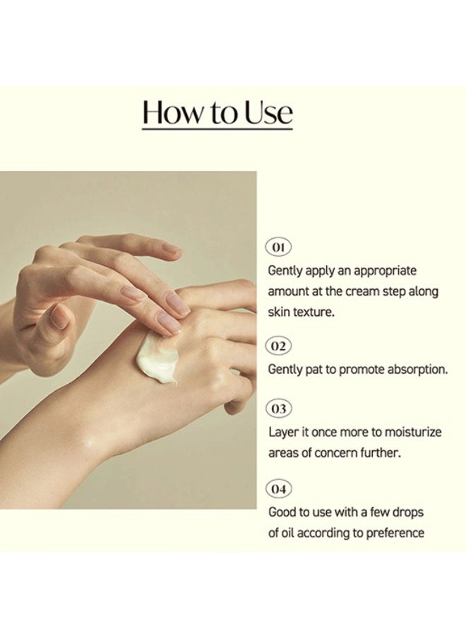 Torriden SOLID-IN Ceramide Cream 70ml