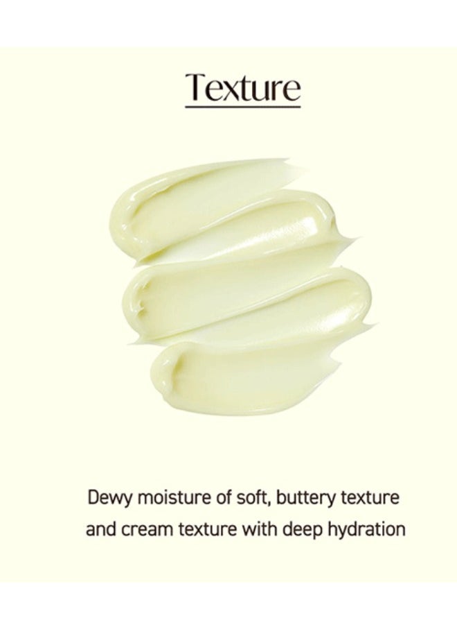 Torriden SOLID-IN Ceramide Cream 70ml