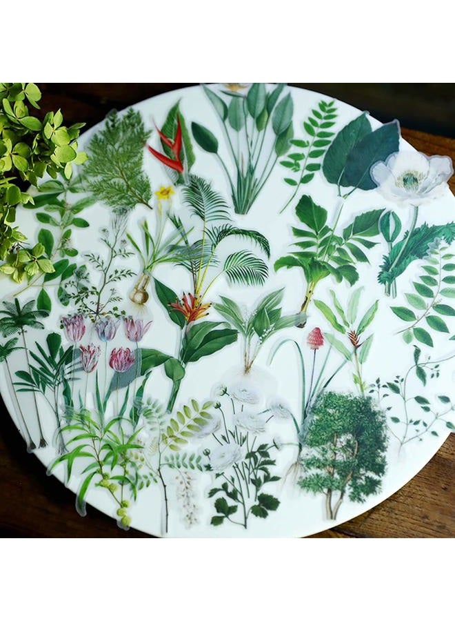 Doraking 56PCS Middle Size Plants Scrapbook Stickers - DIY Decoration Transparent Sulfuric Paper Plants Stickers for Scrapbook Decoration Without Repeat - Image 2