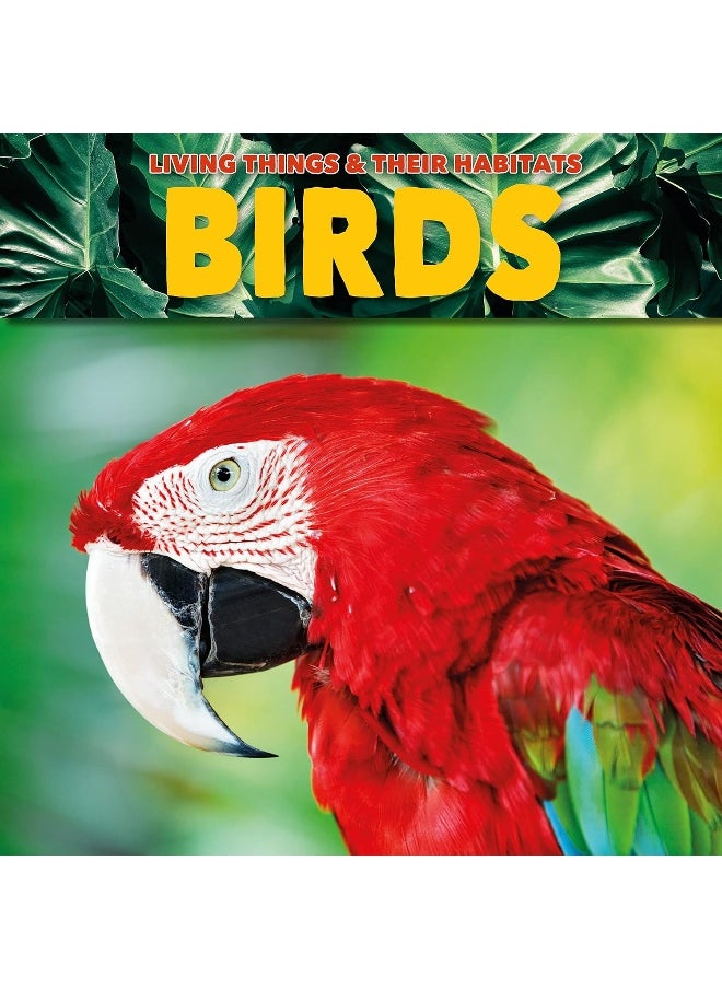 Birds 