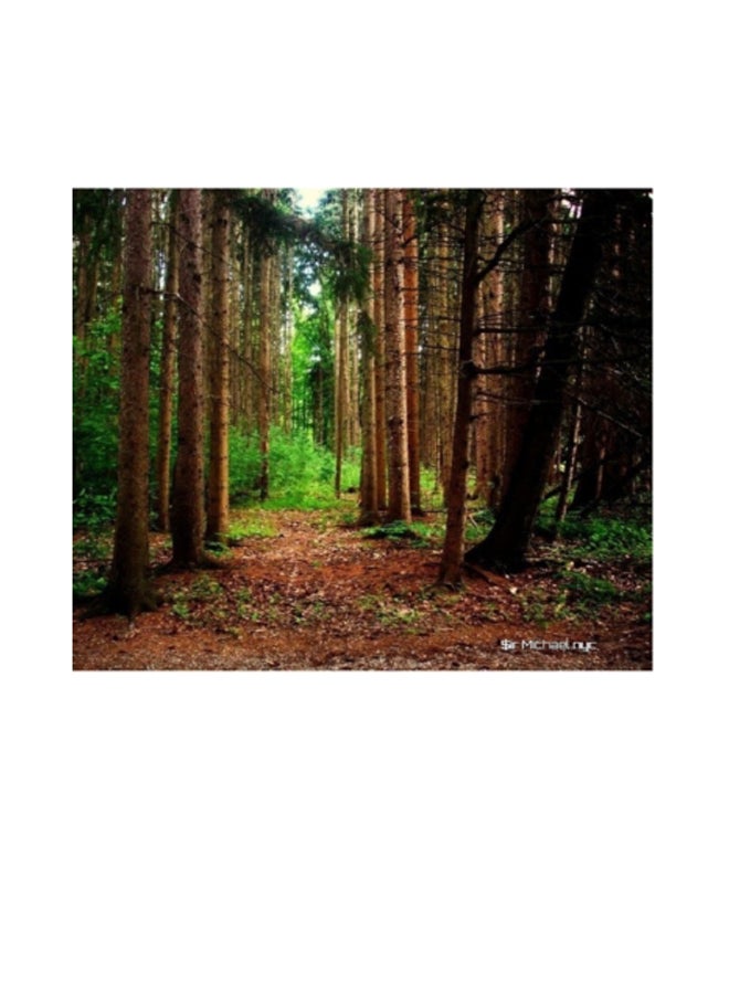 Nature grid style notebook $ir Michael NYC Limited edition : Nature grid style notebook $ir Michael NYC Limited edition 