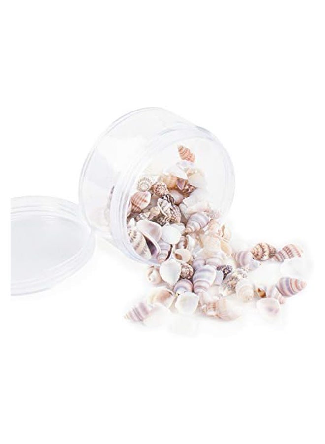 Tiny Miniature Fairy Garden Beach Critter Seashells Marine Life Collection for Arts &Crafts Projects, Decorations, Party Favors, Invitations (2 Tbsp Pack) - Image 4