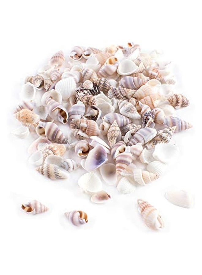 Tiny Miniature Fairy Garden Beach Critter Seashells Marine Life Collection for Arts &Crafts Projects, Decorations, Party Favors, Invitations (2 Tbsp Pack) - Image 3