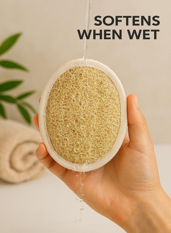 NOAK Natural Oval Loofah for Bathing | Soft & Smooth Body Scrubber | Gentle Exfoliation for All Skin Types, Removes Dead Skin Cells | Easy-to-Hold Bath Sponge | Attractive Pouch Designs | Pack of 2 - Image 5