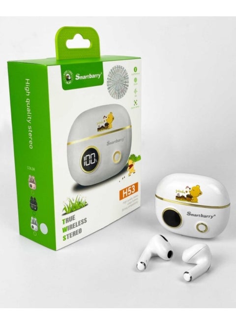 smartbarry H53 true wireless earphone