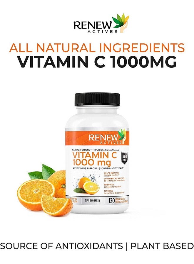 Renew Actives RENEW ACTIVES Maximum Strength Vitamin C 1000MG per Serving - Antioxidant & Immune Booster for Overall Health, Bones, Teeth & Gums - Non-GMO, Sugar-Free, 4-Month Supply - Made in Canada - 120 Capsules  - Image 2