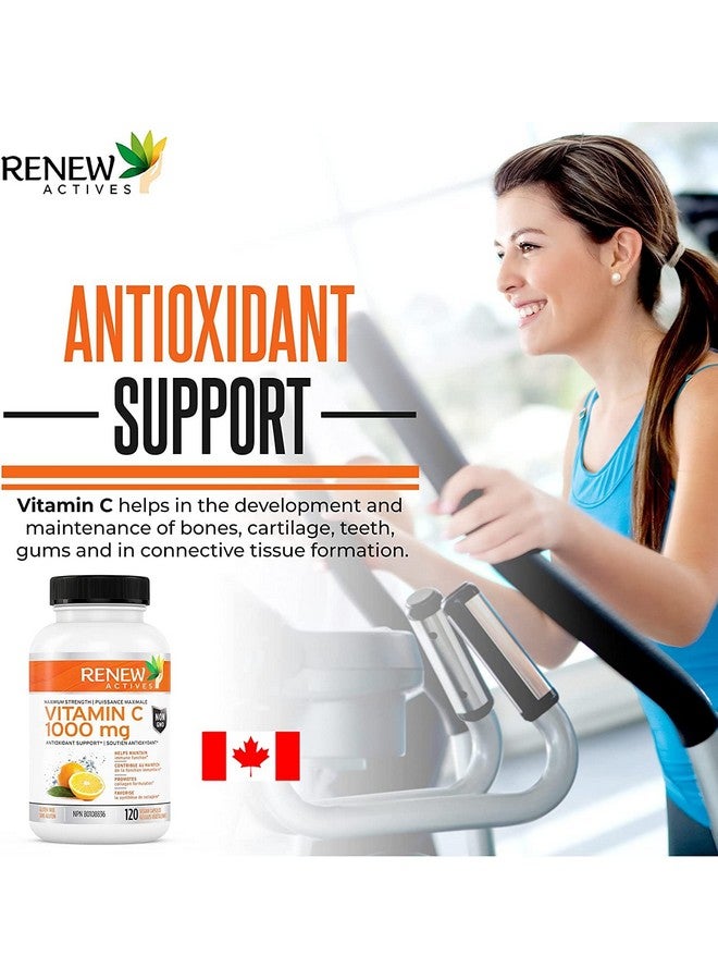 Renew Actives RENEW ACTIVES Maximum Strength Vitamin C 1000MG per Serving - Antioxidant & Immune Booster for Overall Health, Bones, Teeth & Gums - Non-GMO, Sugar-Free, 4-Month Supply - Made in Canada - 120 Capsules  - Image 4
