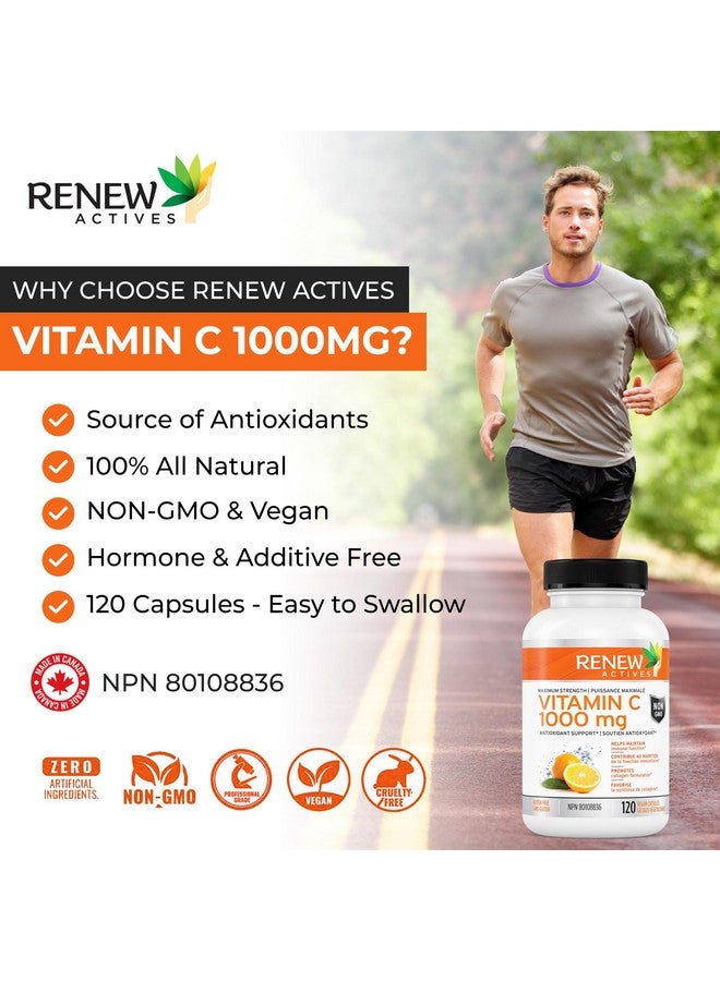 Renew Actives RENEW ACTIVES Maximum Strength Vitamin C 1000MG per Serving - Antioxidant & Immune Booster for Overall Health, Bones, Teeth & Gums - Non-GMO, Sugar-Free, 4-Month Supply - Made in Canada - 120 Capsules  - Image 3