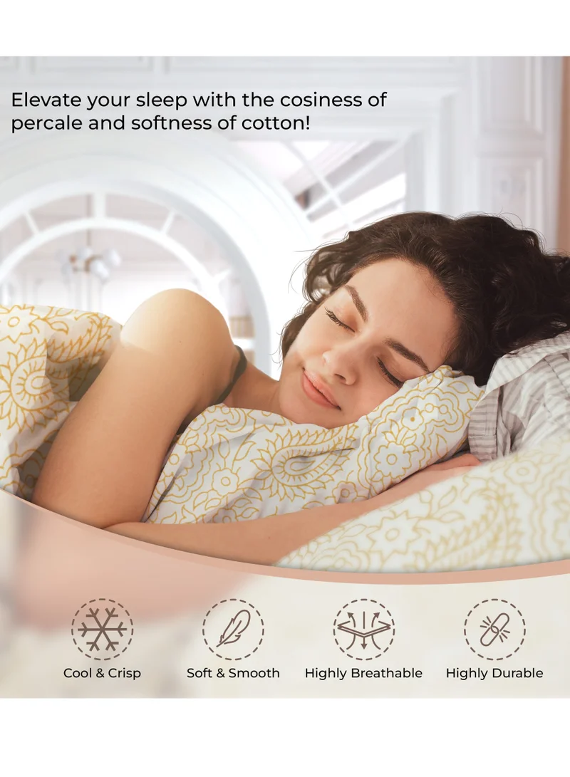 كولور سينس ملاءة مثبتة مفردة من Color Sense 144TC - أزرق