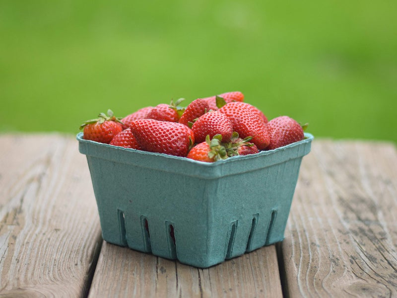 JA Kitchens 42 Pack Quart Green Molded Pulp Fiber Berry/Produce Vented Baskets for Fruit and Vegetable - Image 5