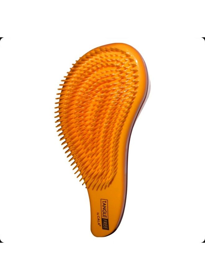 CALA فرشاة شعر جديدة خالية من التشابك على شكل صبار - Image 2