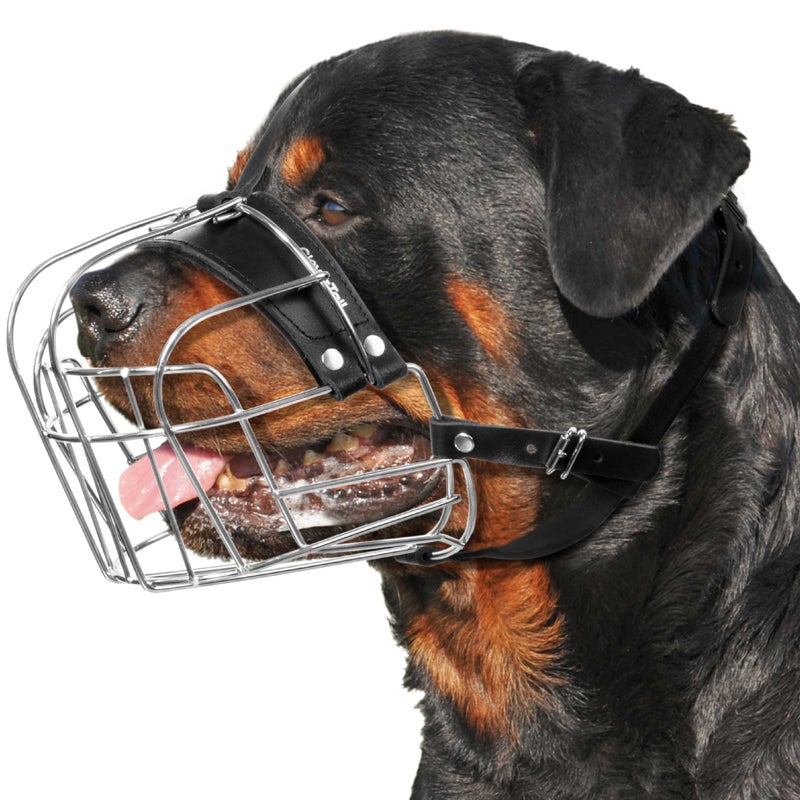 CleverTail XL Metal Dog Muzzle for Large Sized Dogs â€“ Heavy Duty Rottweiler Muzzle â€“ Basket Extra Large Dog Muzzles for Barking and Biting Cane Corso, Mastiff, Labrador, Bulldog and Other Big Breeds - Image 1