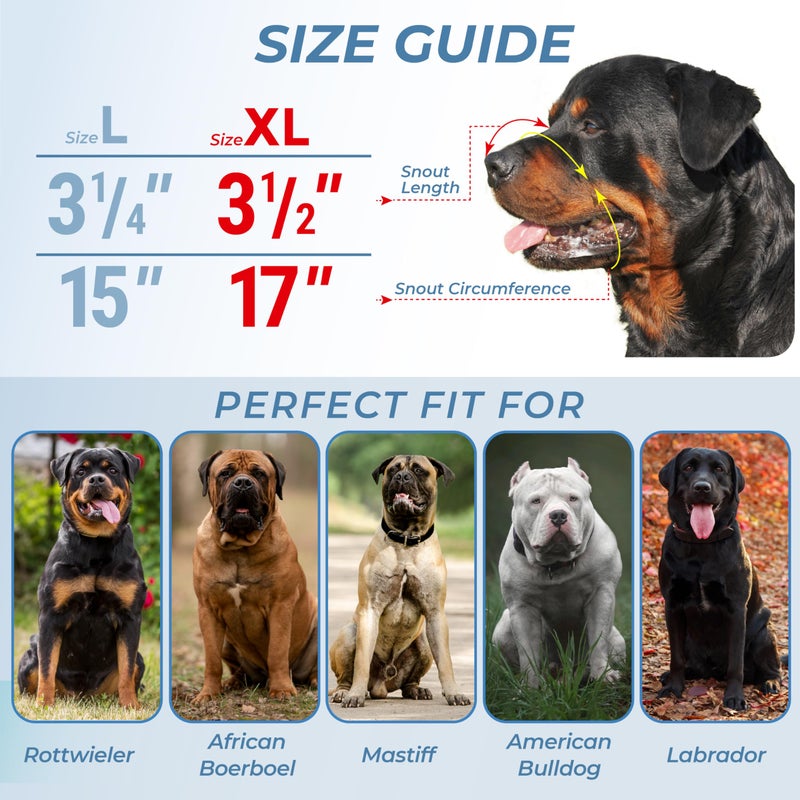 CleverTail XL Metal Dog Muzzle for Large Sized Dogs â€“ Heavy Duty Rottweiler Muzzle â€“ Basket Extra Large Dog Muzzles for Barking and Biting Cane Corso, Mastiff, Labrador, Bulldog and Other Big Breeds - Image 3