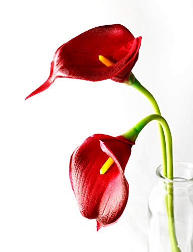 DuHouse 20Pcs Artificial Calla Lily Flower Real Touch Latex Flowers for DIY Wedding Bouquet Party Home Decor (Burgundy) - Image 3